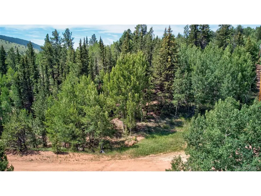 158 Rattler Ct, Cripple Creek, CO 80813 - #2