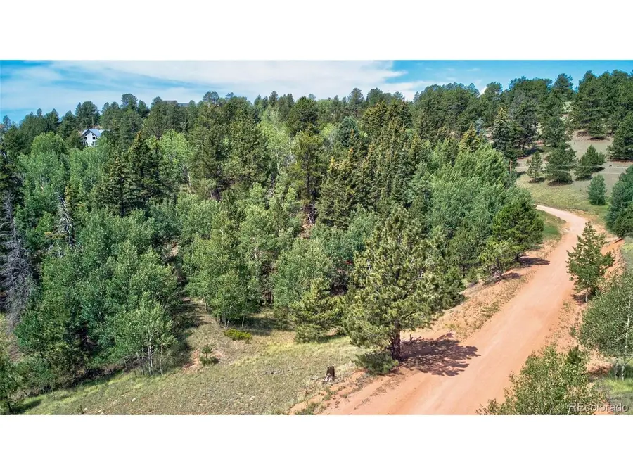 158 Rattler Ct, Cripple Creek, CO 80813 - #3