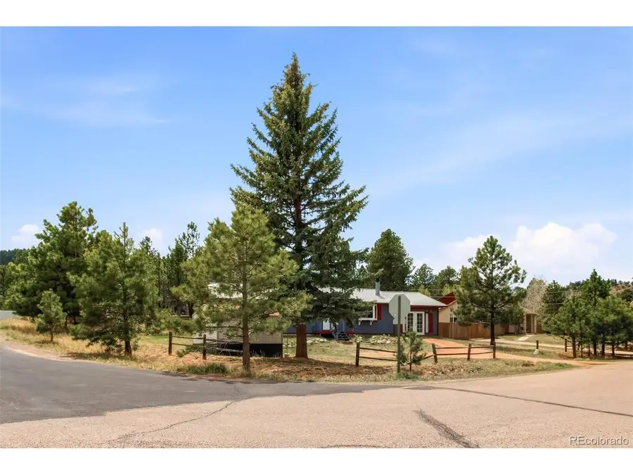 1217 Michael Ln, Woodland Park, CO 80863 - #3