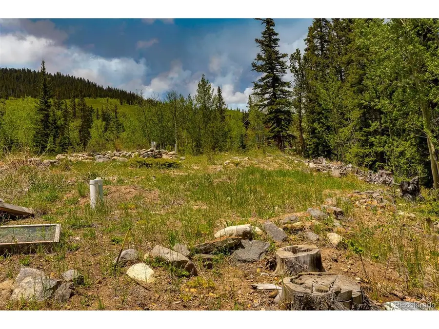 522 Quartzville Rd, Alma, CO 80420 - #3