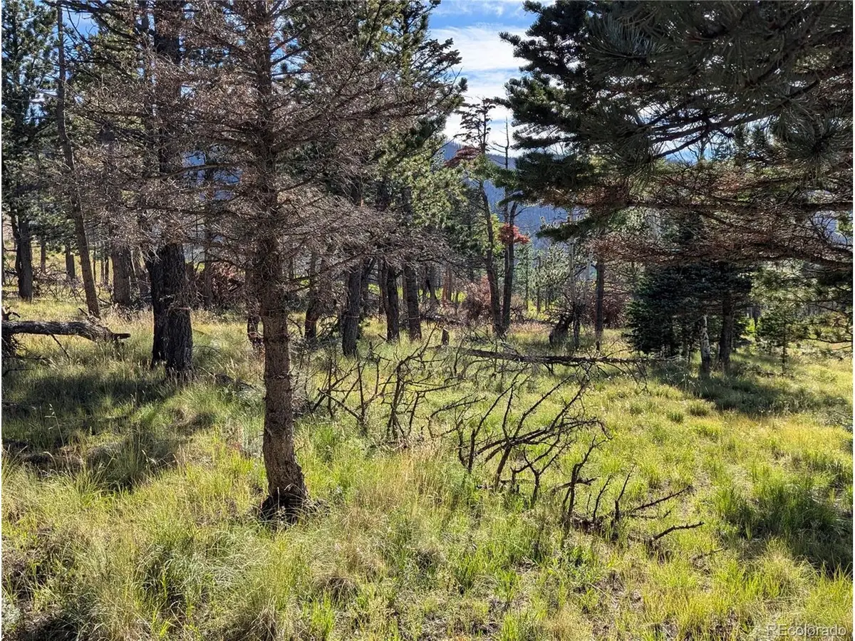 2127 Sigler Dr, Fort Garland, CO 81133 - #1