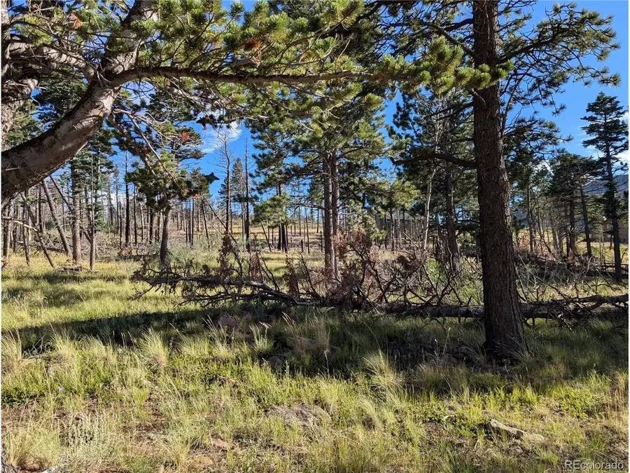 2127 Sigler Dr, Fort Garland, CO 81133 - #2