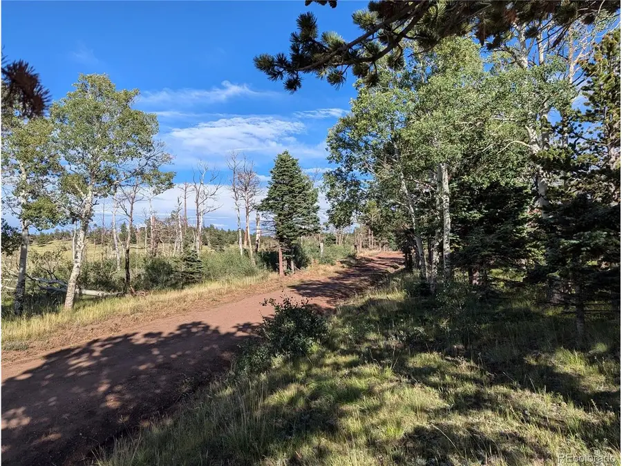 2127 Sigler Dr, Fort Garland, CO 81133 - #3