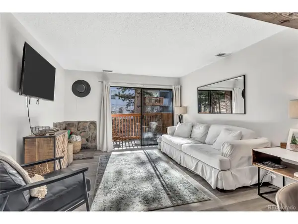 1901 Clear Creek Dr #E102, Georgetown, CO 80444