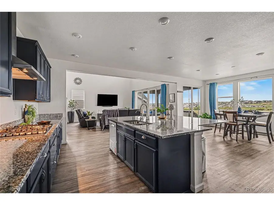 16809 Black Rose Cir, Parker, CO 80134 - #3