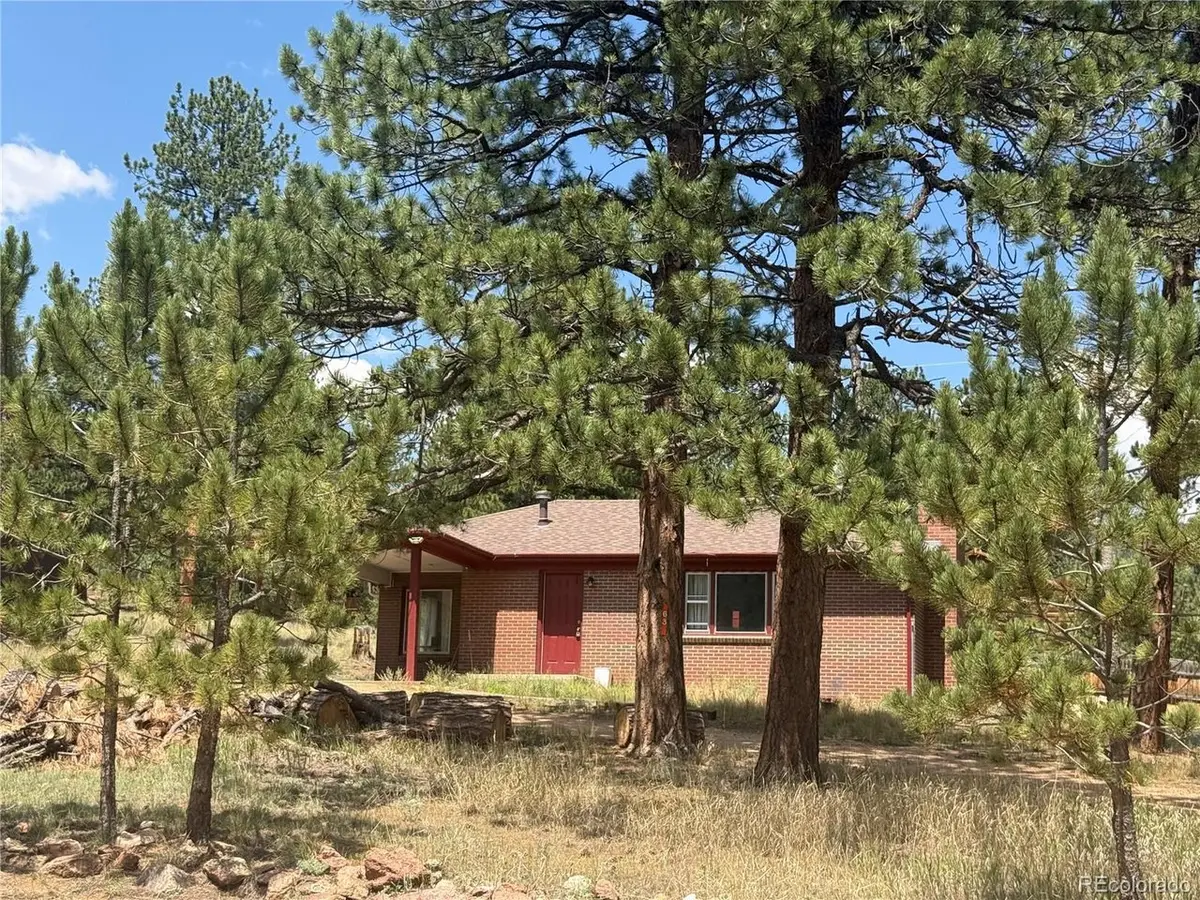 63 Fitzsimmons Rd, Bailey, CO 80421 - #1