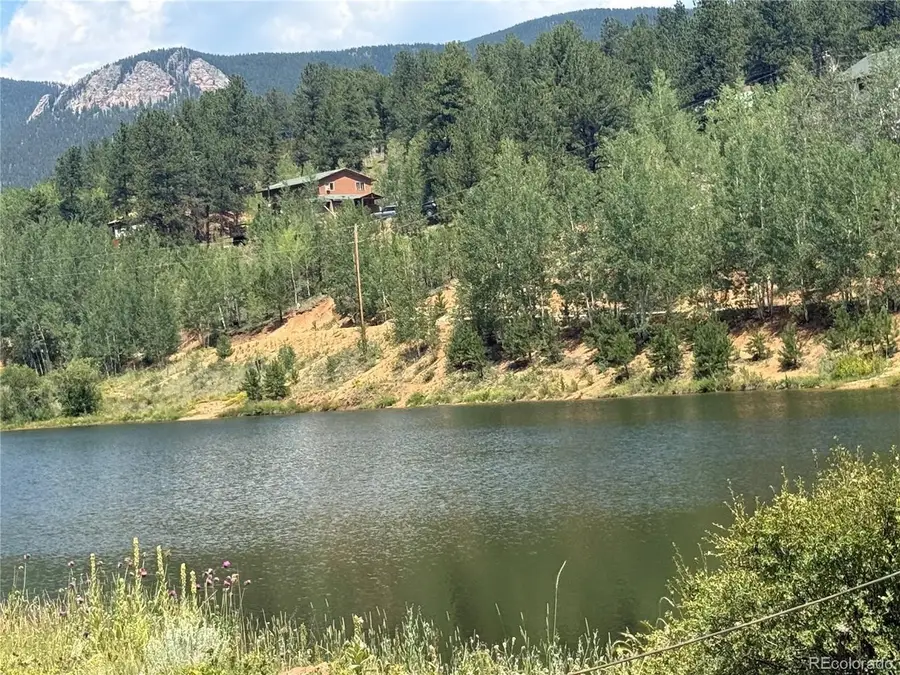 63 Fitzsimmons Rd, Bailey, CO 80421 - #2