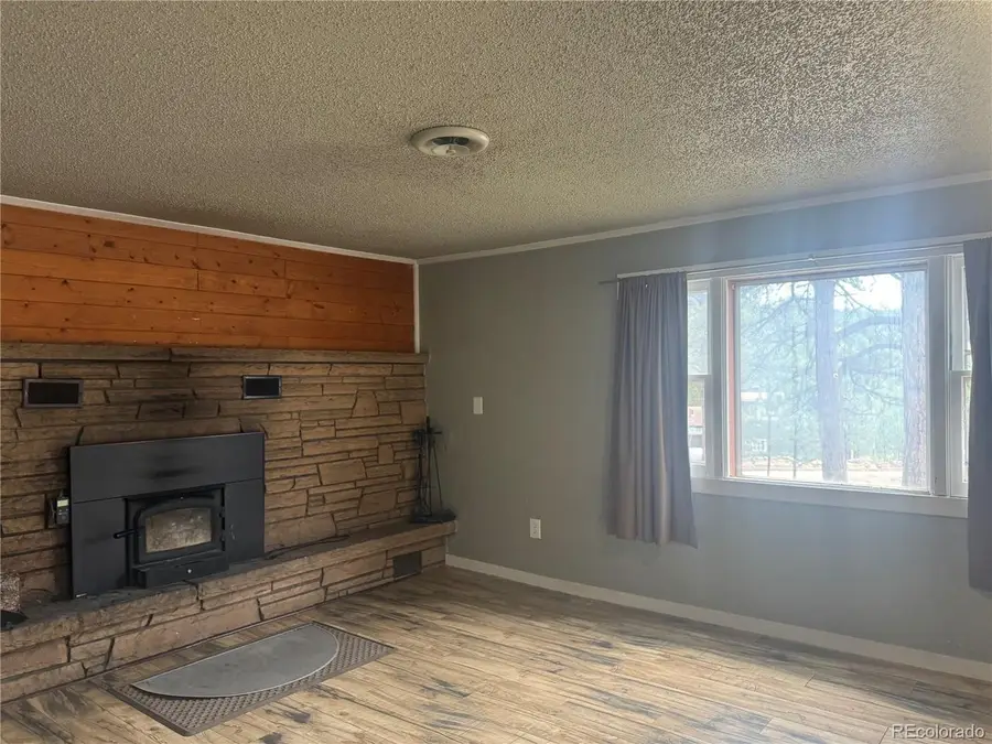 63 Fitzsimmons Rd, Bailey, CO 80421 - #3