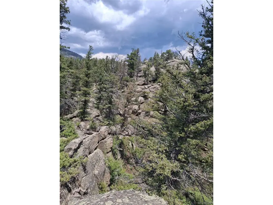 865 Okmulgee Cir, Red Feather Lakes, CO 80545 - #3
