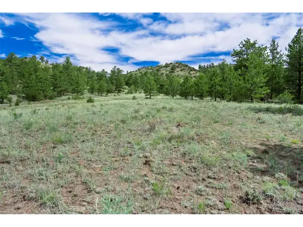 8 County Road 102, Guffey, CO 80820