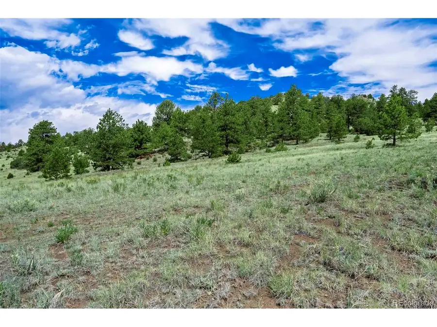 8 County Road 102, Guffey, CO 80820 - #2
