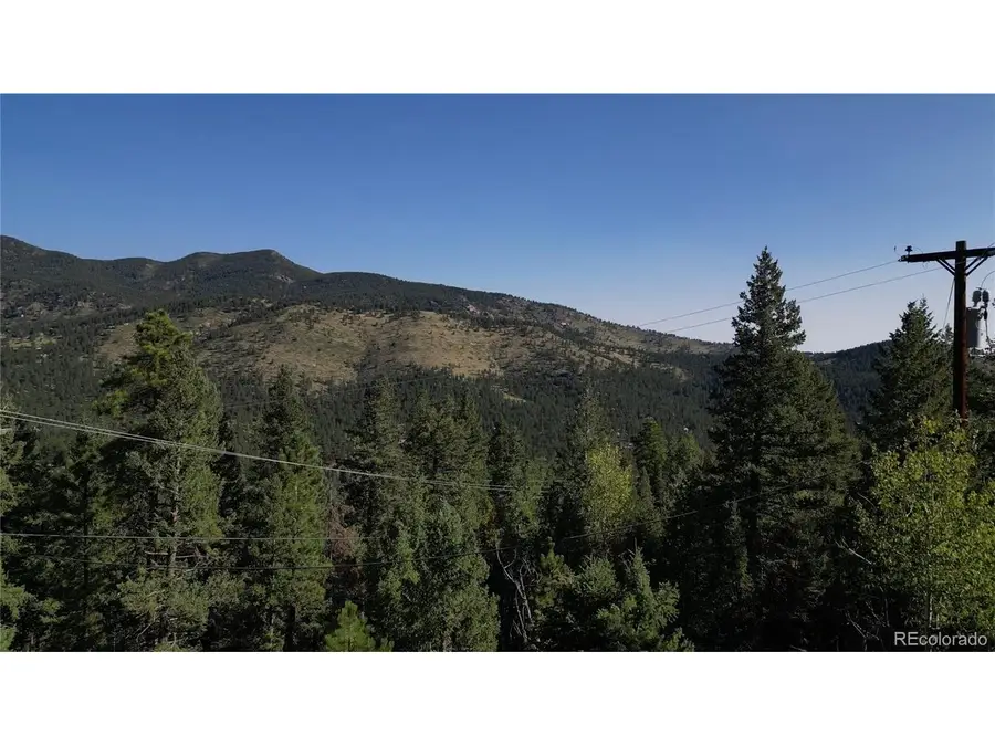 33864 Bergen View, Evergreen, CO 80439 - #2