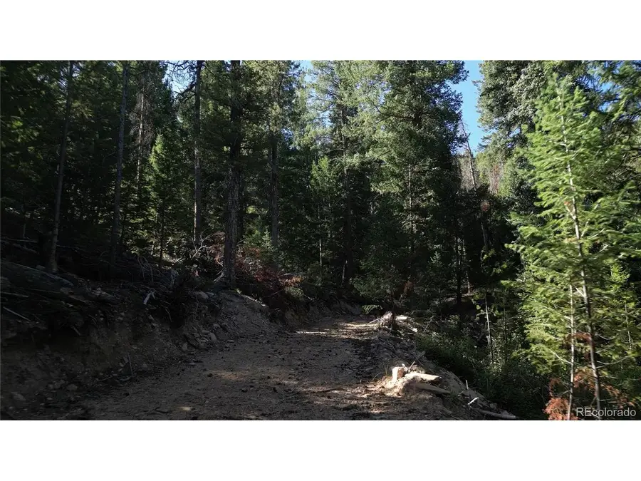 33864 Bergen View, Evergreen, CO 80439 - #3