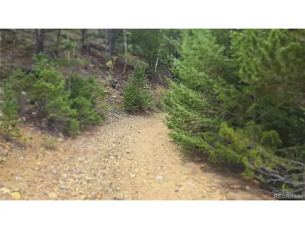 Address Withheld By Seller, Dumont, CO 80436