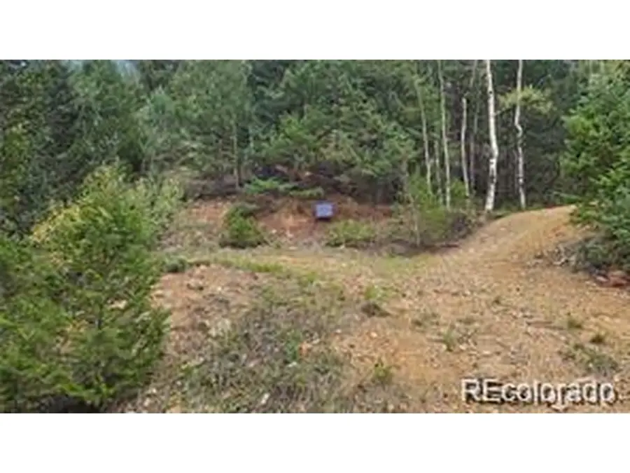 Address Withheld By Seller, Dumont, CO 80436 - #2