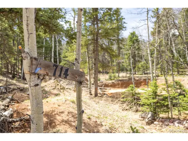 714 Will Stutley Dr, Divide, CO 80814