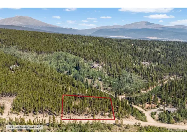 3075 Nugget Rd, Fairplay, CO 80440