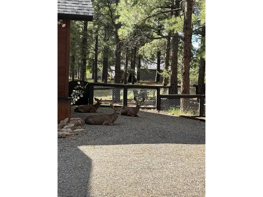 125 Teakwood Dr, Pagosa Springs, CO 81147 - #2