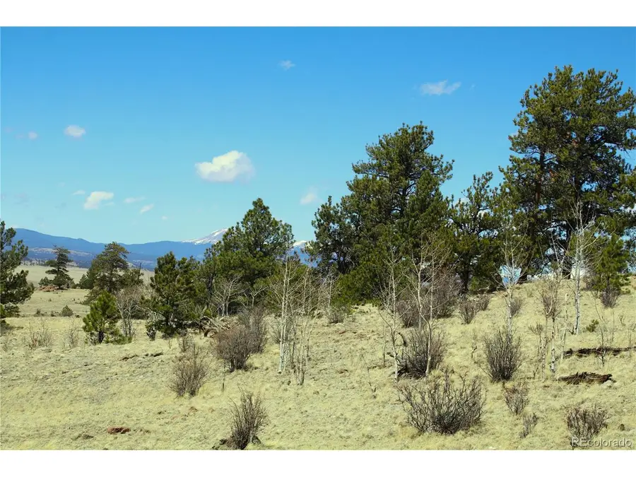 Address Withheld By Seller, Hartsel, CO 80449 - Image #2