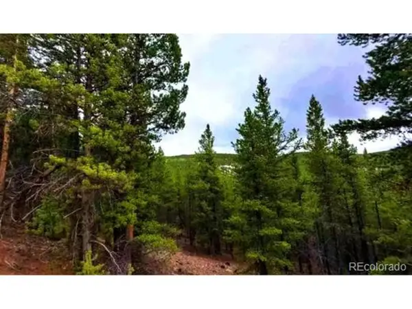 111 Fs Road 752.3b, Gunnison, CO 81231