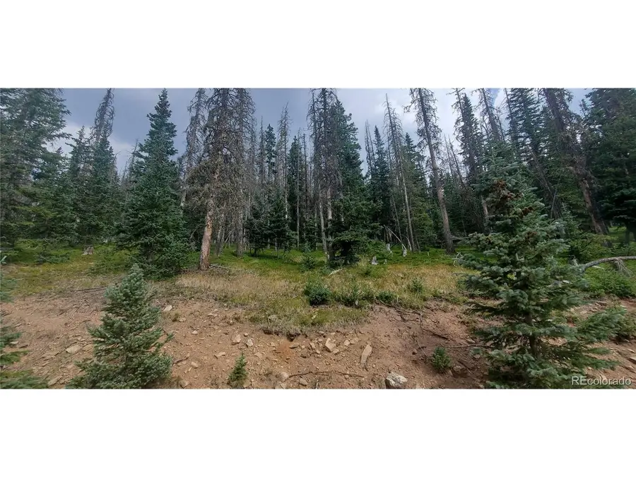 6542 Schlueter Rd, Fort Garland, CO 81133 - #2