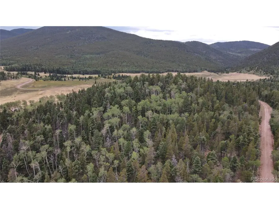 2874 Fery Loop, Fort Garland, CO 81133 - #2