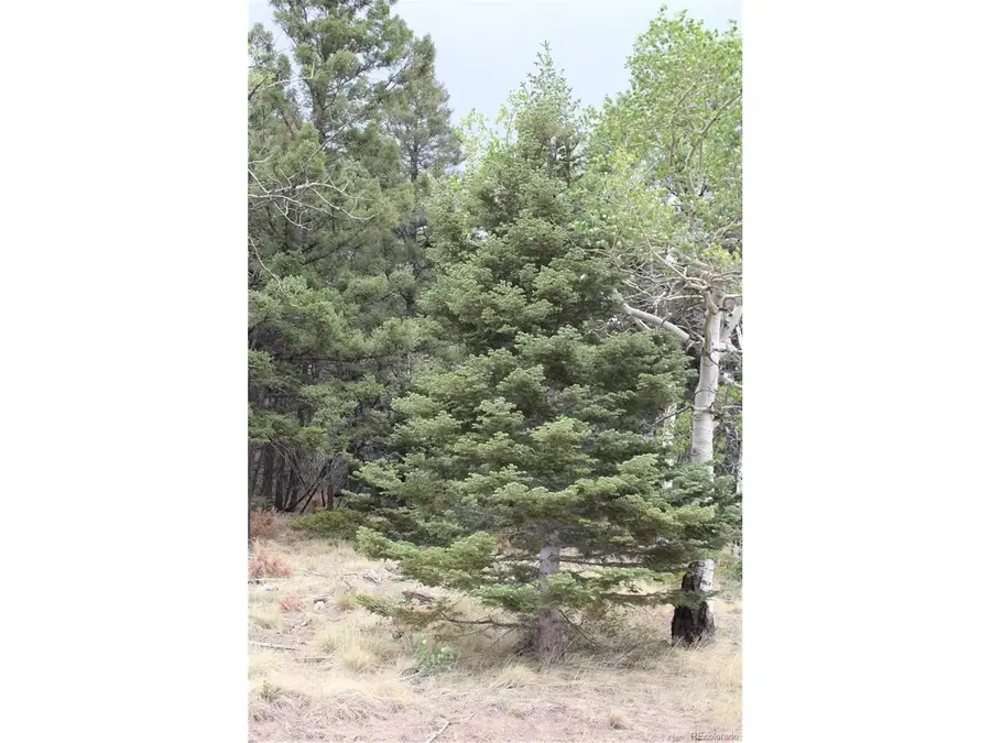 2874 Fery Loop, Fort Garland, CO 81133 - #3