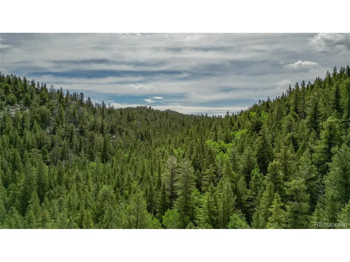 850 Lupine Pl, Black Hawk, CO 80422 - #1