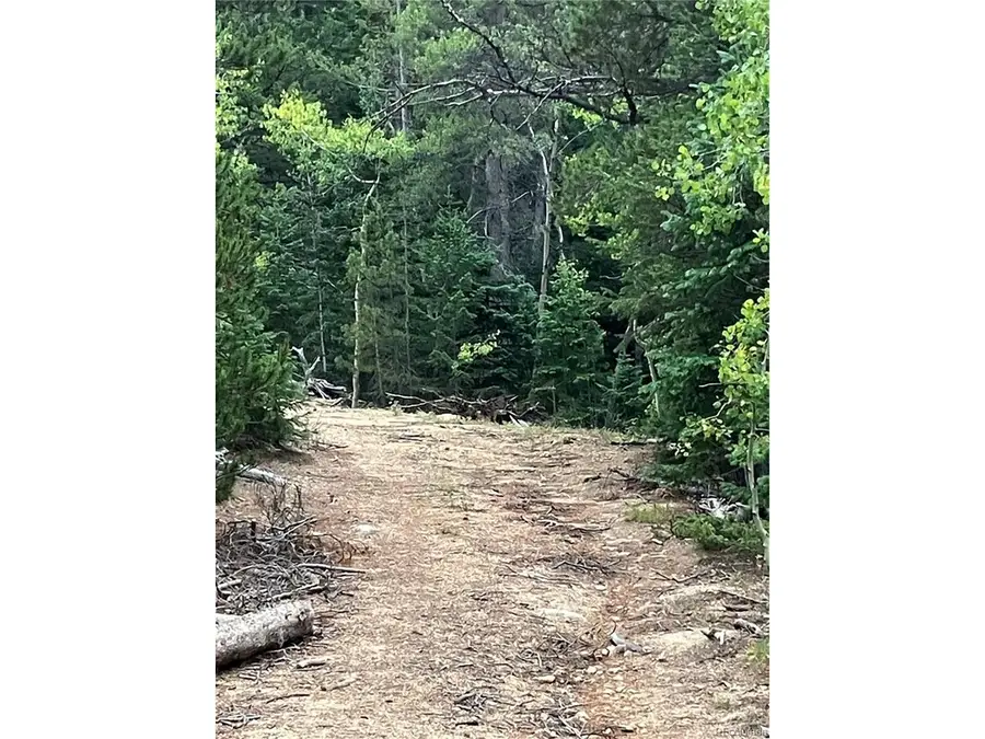 850 Lupine Pl, Black Hawk, CO 80422 - #2