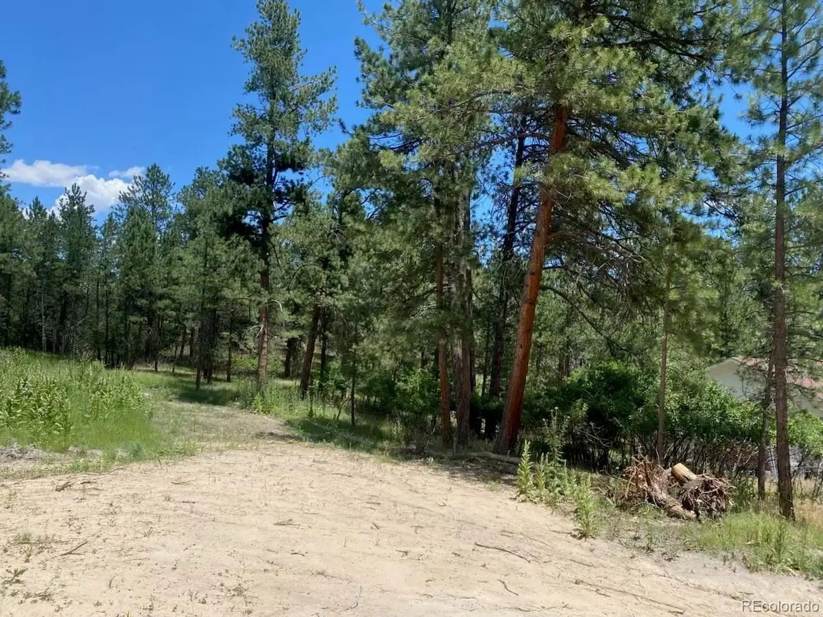 Address Withheld By Seller, Larkspur, CO 80118 - #1