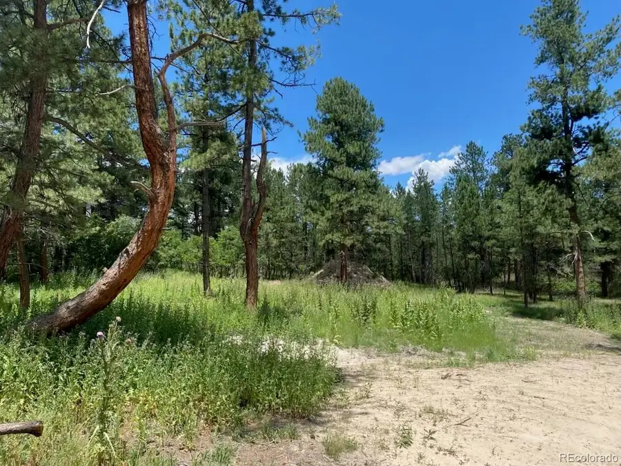 Address Withheld By Seller, Larkspur, CO 80118 - #2