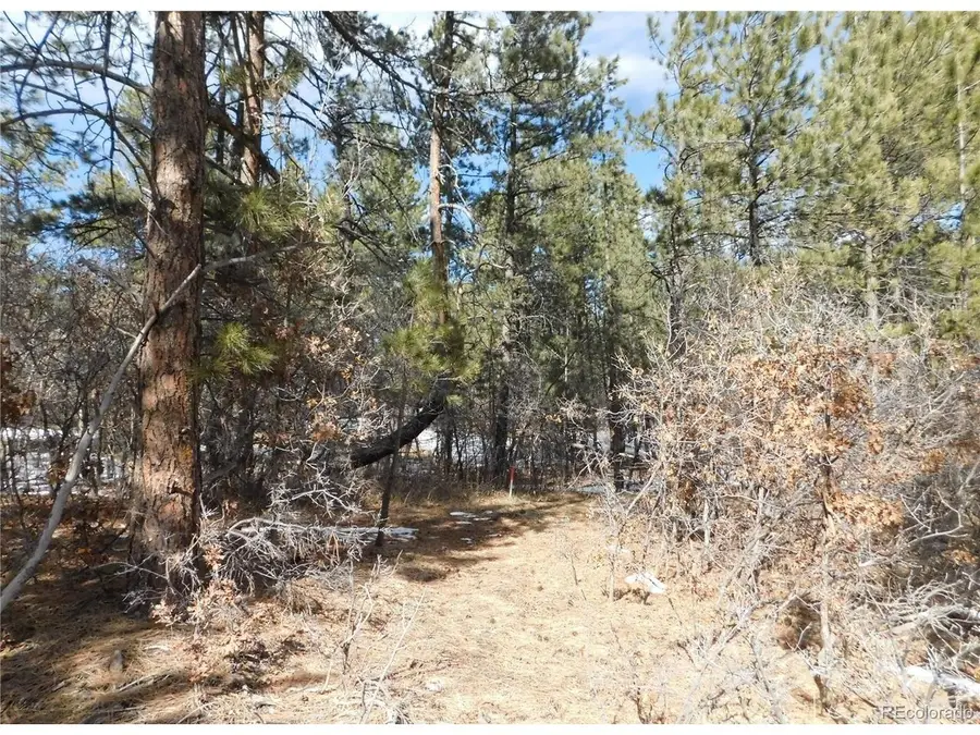 Address Withheld By Seller, Larkspur, CO 80118 - #3