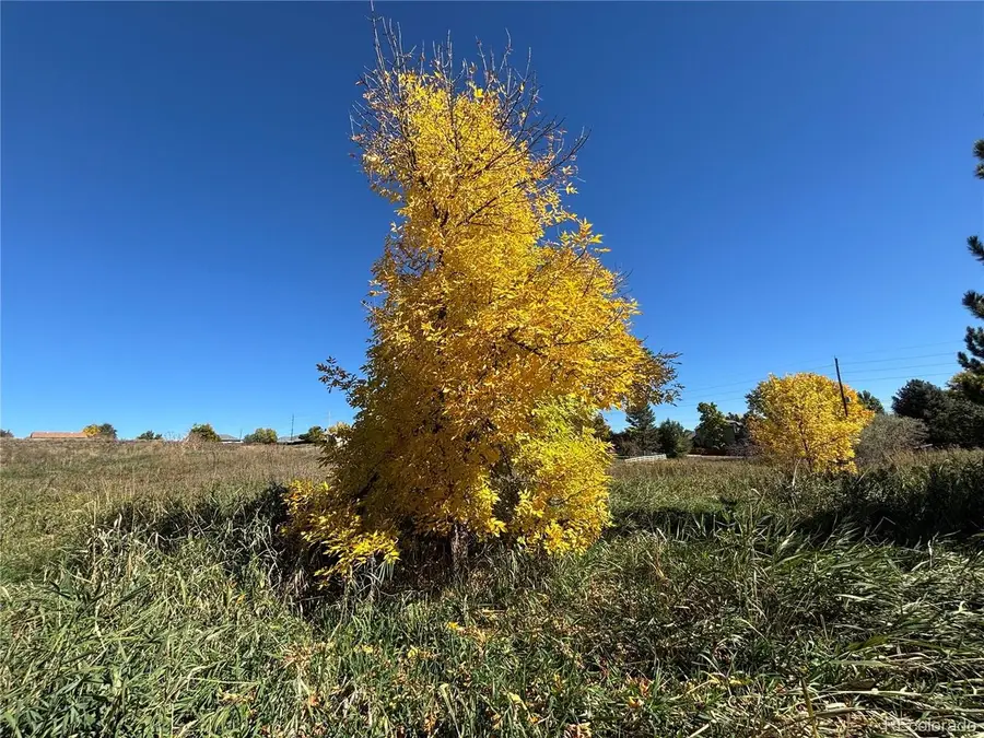 7873 S Carr Ct, Littleton, CO 80128 - Image #3