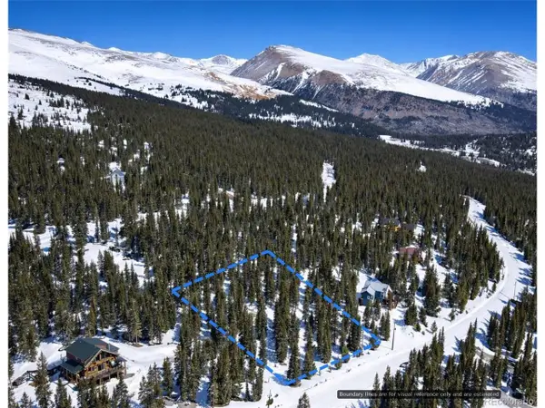 163 Prunes Pl, Fairplay, CO 80440