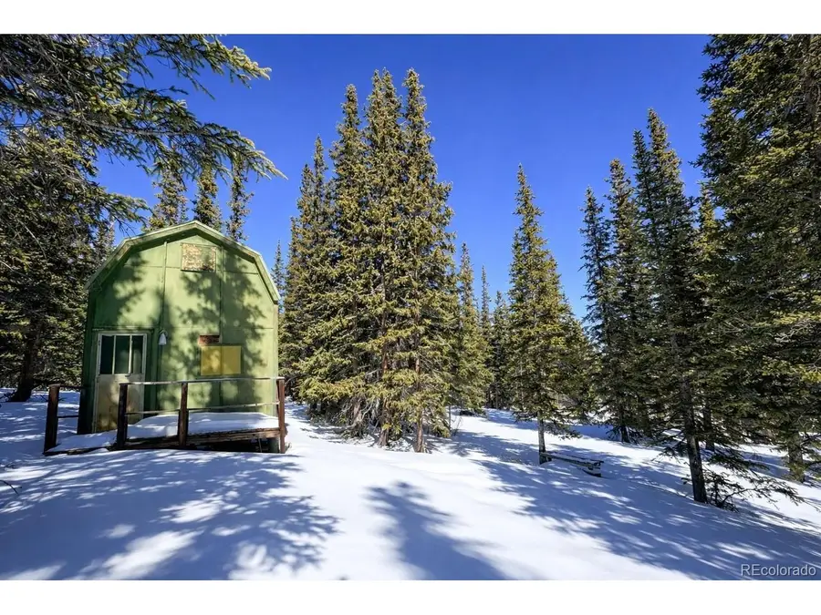 163 Prunes Pl, Fairplay, CO 80440 - #3