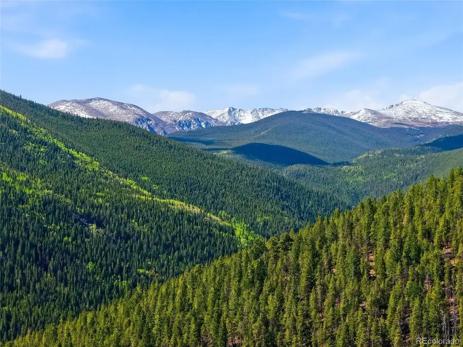 600 Ute Creek Rd, Idaho Springs, CO 80452 - #2