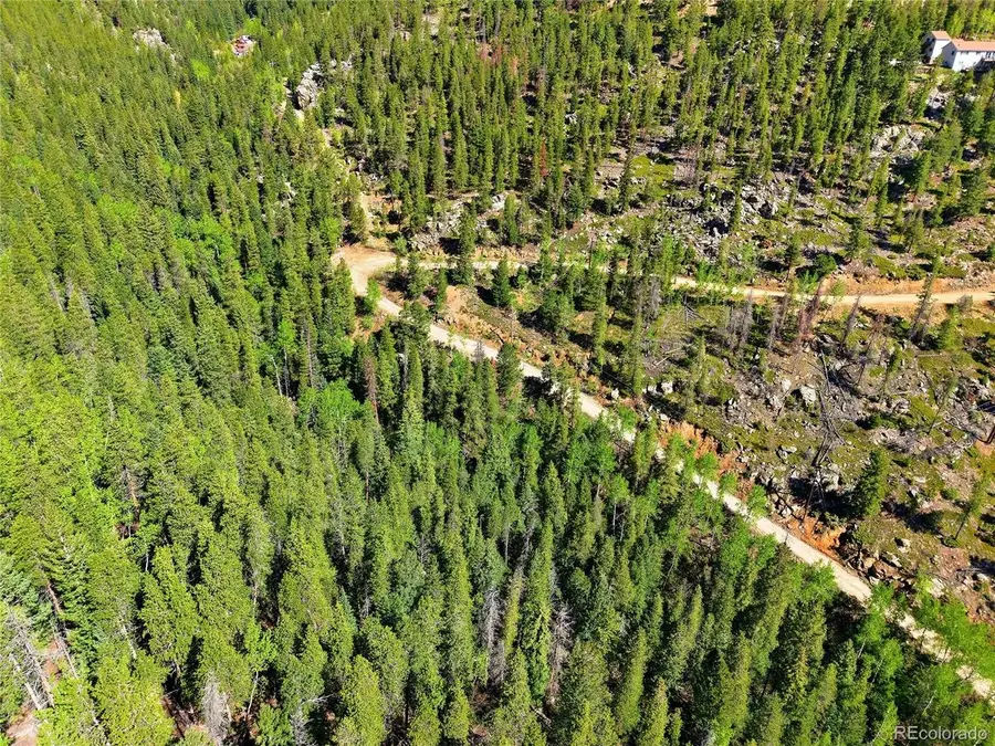 600 Ute Creek Rd, Idaho Springs, CO 80452 - #3