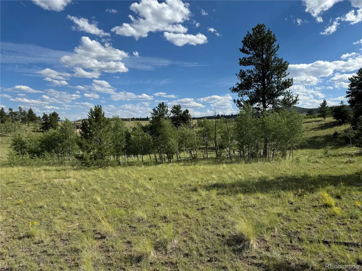 Address Withheld By Seller, Hartsel, CO 80449 - Image #1