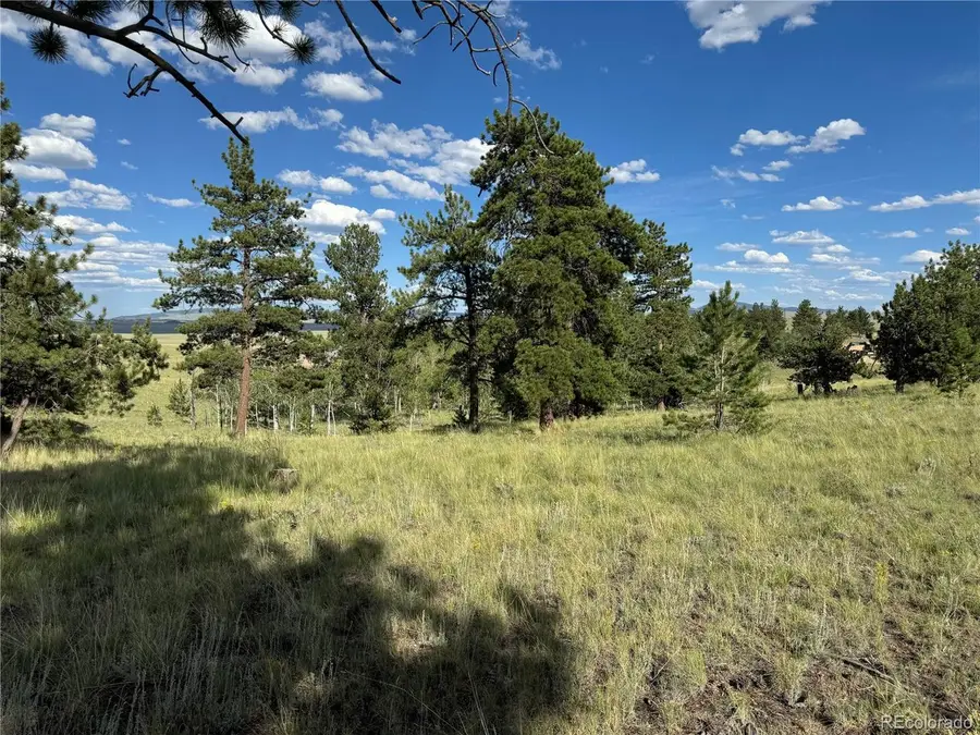 Address Withheld By Seller, Hartsel, CO 80449 - Image #3