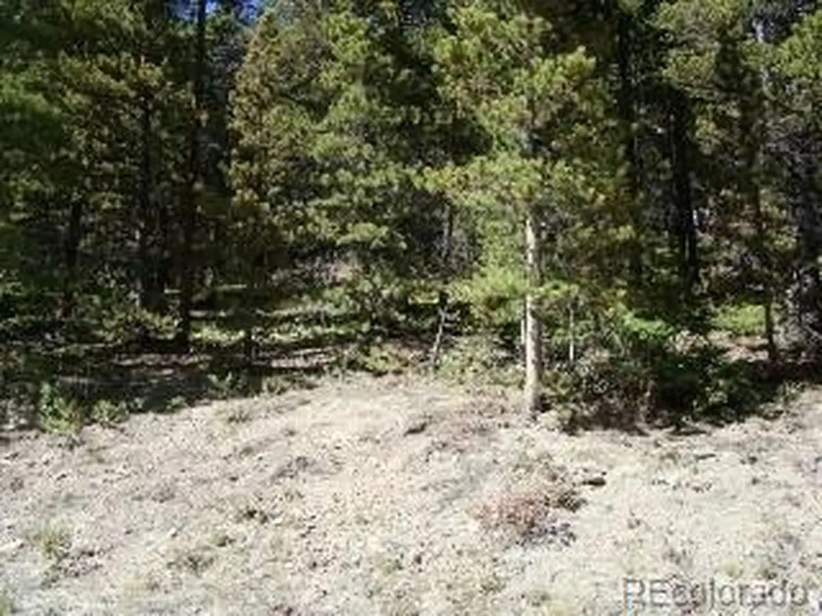 680 Alice Rd, Idaho Springs, CO 80453 - Image #1
