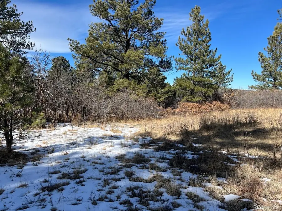 6764 Yampa Dr, Larkspur, CO 80118 - Image #2