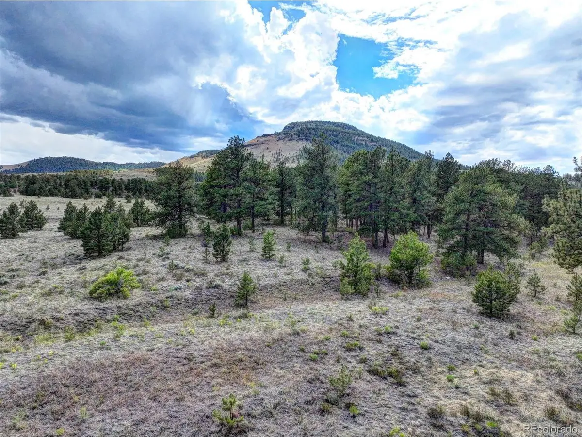 10050 County Rd 102, Guffey, CO 80820 - #1