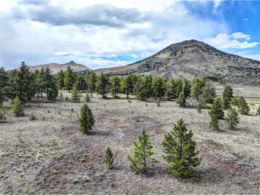 10050 County Rd 102, Guffey, CO 80820 - #3