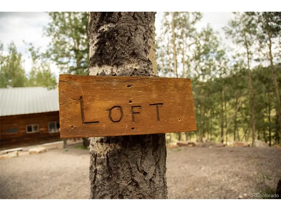 1001 County Rd 17, Lake City, CO 81235 - #2