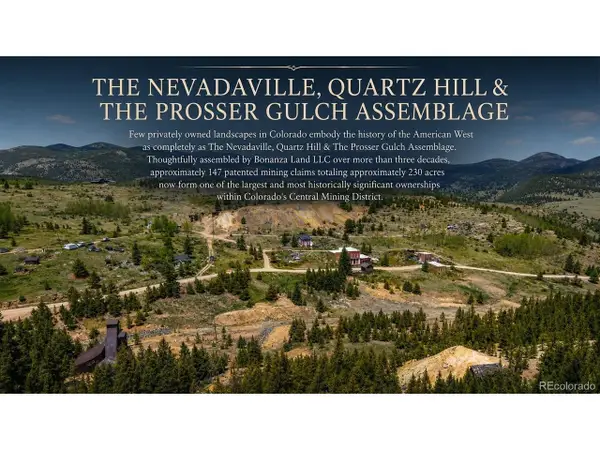 1 Nevadaville Rd, Central City, CO 80427