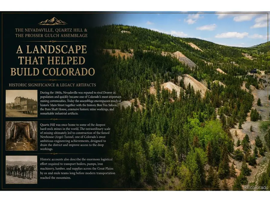 1 Nevadaville Rd, Central City, CO 80427 - #2