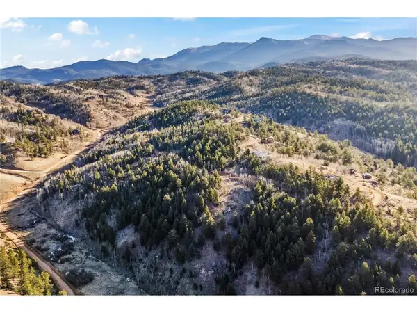 728 Little Topsey Dr, Cripple Creek, CO 80813