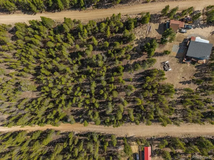 198 Lodgepole Dr, Leadville, CO 80461 - #3