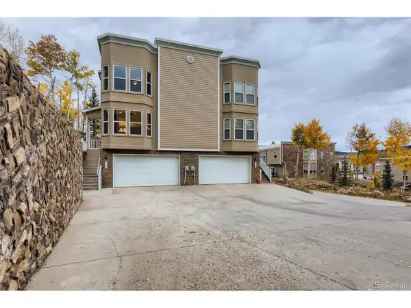 736 Martin Dr, Central City, CO 80427