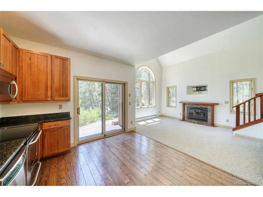 185 Lotus Lon Dr, Leadville, CO 80461 - #2